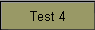 Test 4
