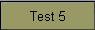 Test 5